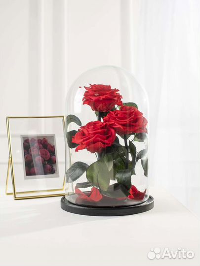 Роза в колбе