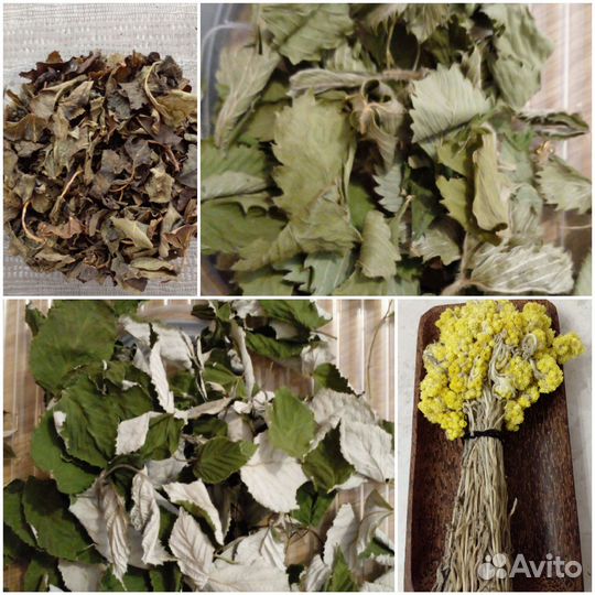 Листы и травы