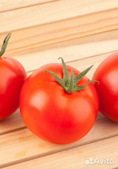 Семена Томата 