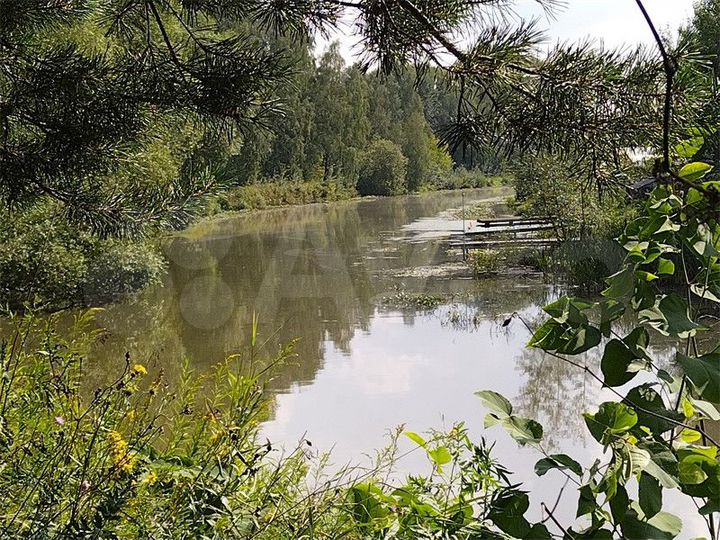 Участок 1,36 га (ИЖС)
