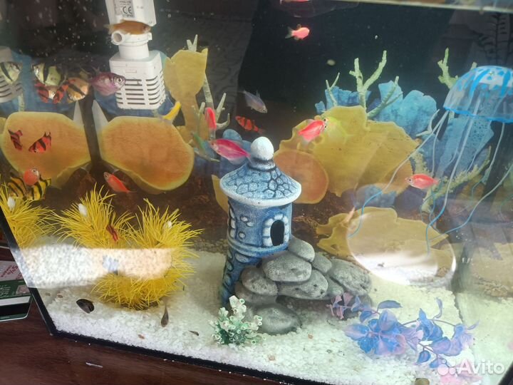 Аквариум 25л с рыбками