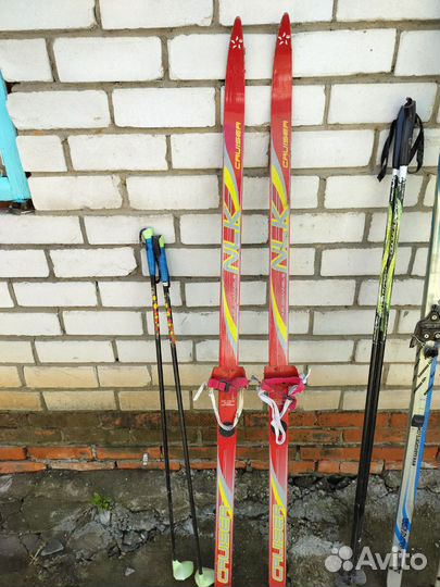 Беговые лыжи