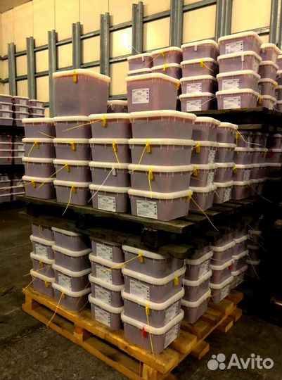 Красная Икра кеты - 2023 оптом