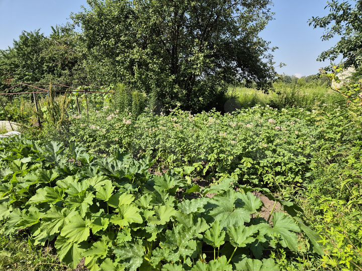 Дача 12 м² на участке 5 сот.