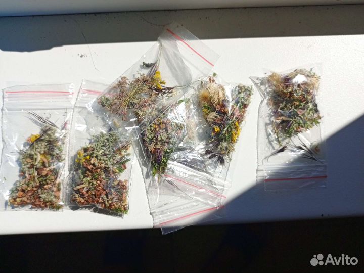 Сухоцветы для дизайна маникюра