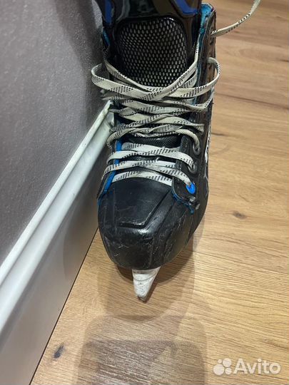 Хоккейные коньки bauer nexus