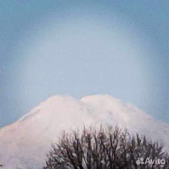 Банкротство физических юридических лиц