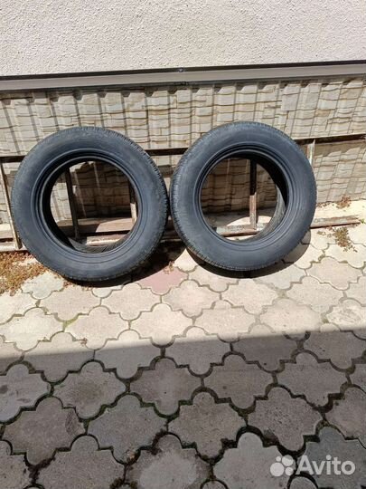 Antares Majoris R1 245/65 R16 95G