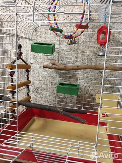 Клетка для попугая