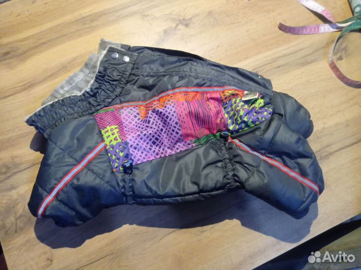 Одежда для собак