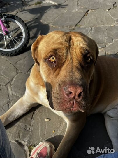 Бурбуль для вязки