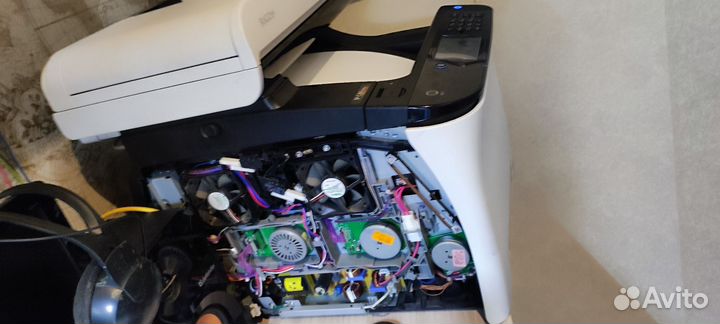 Мфу принтер Ricoh 261