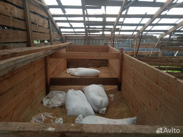 Овечья ферма