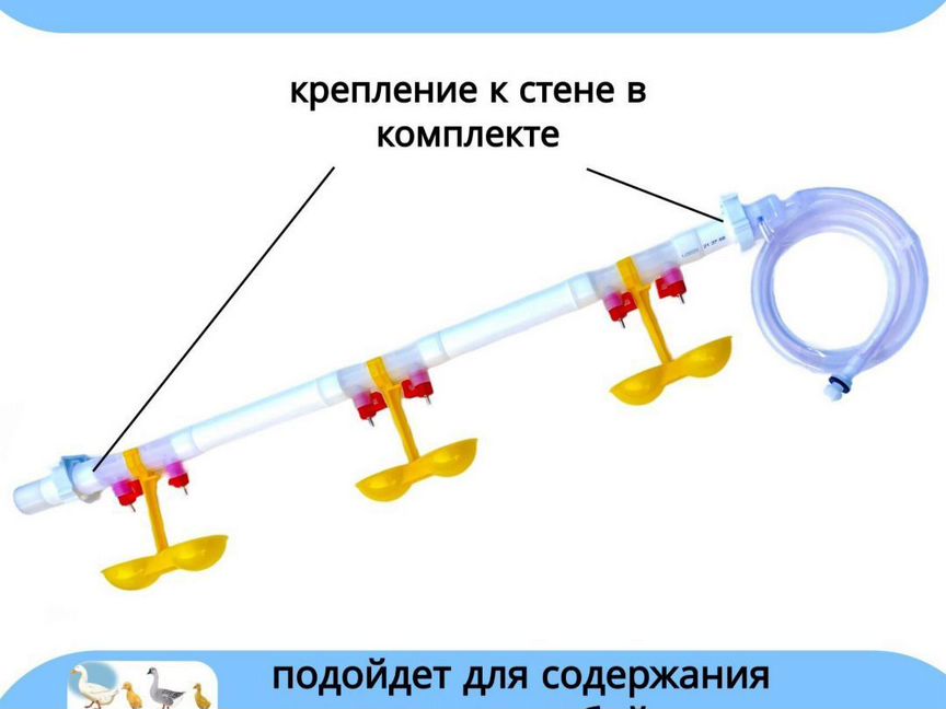 Система нипельного поения для домашней птицы