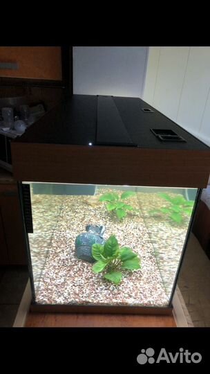 Аквариум фирменный jawel RIO-180