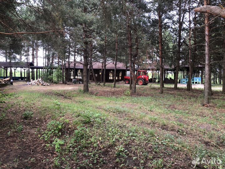 Праздники и мероприятия