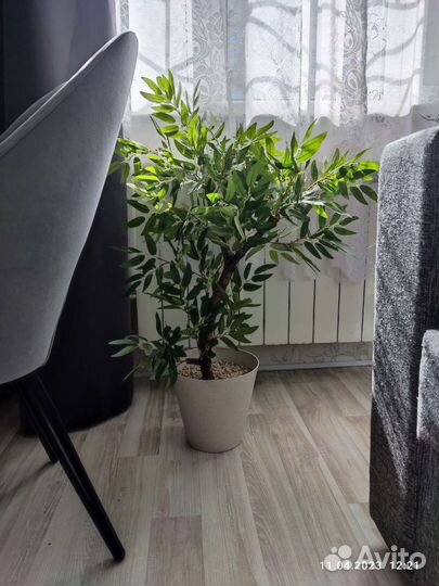 Искусственные растения