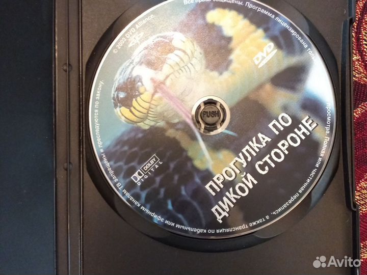 DVD диск хищники