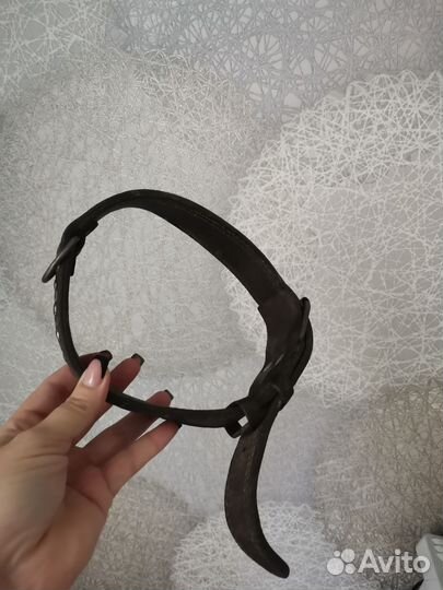 Амуниция для собак