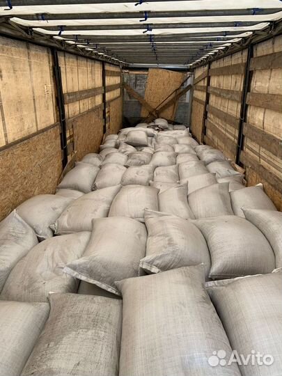 Семена горчицы