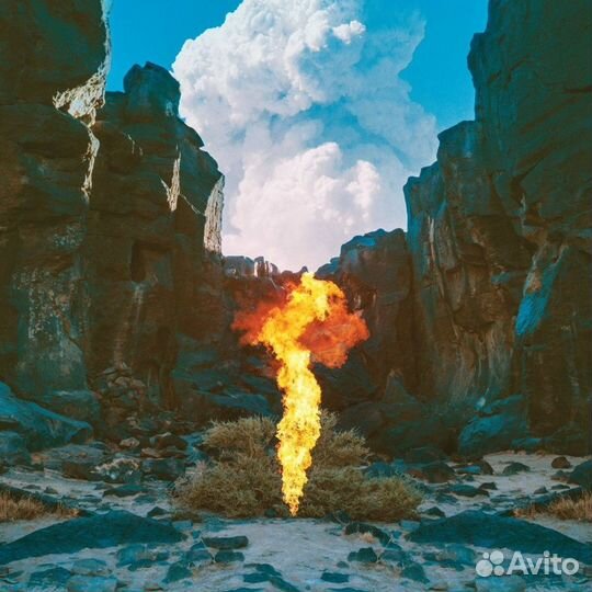Bonobo – Migration