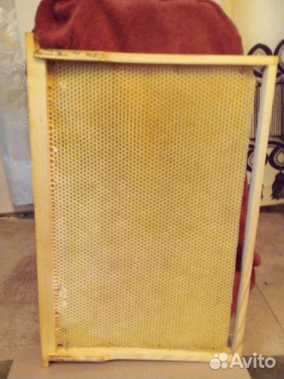 Сушь для пчел