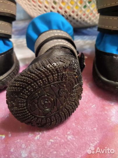 Ботинки для собак