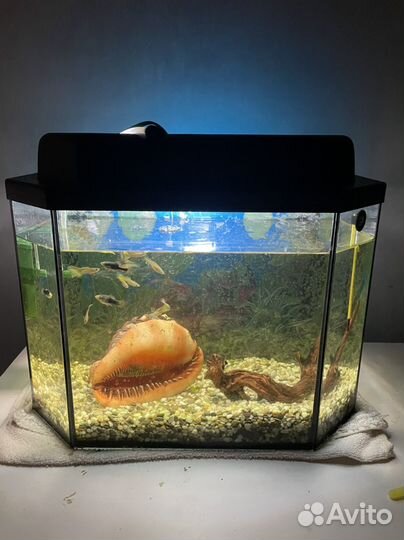 Аквариум 35 литров
