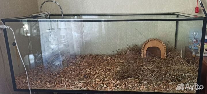 Террариум для рептилий