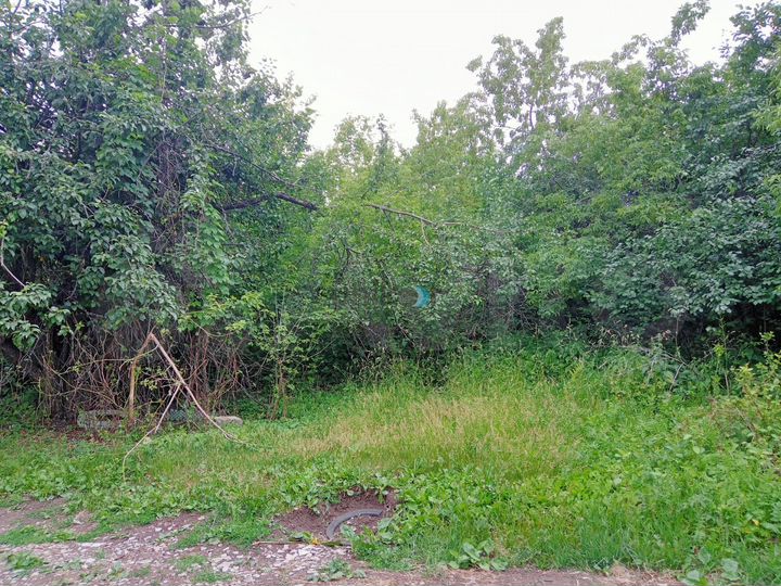 Участок 8,6 сот. (СНТ, ДНП)