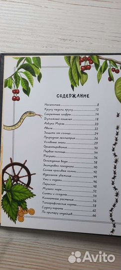 Книга для мальчиков