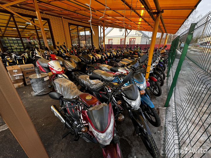 Мопед alfa RX11