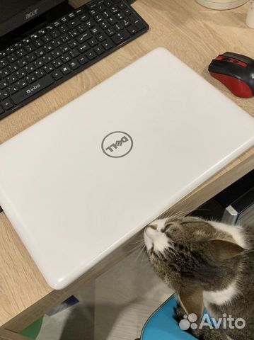 Dell inspiron p66f