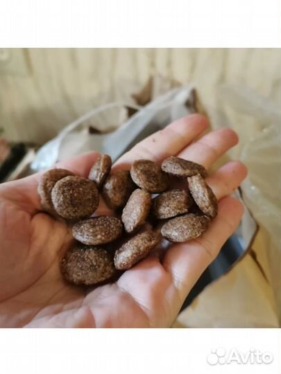 Корм для средних и крупных пород собак 10кг