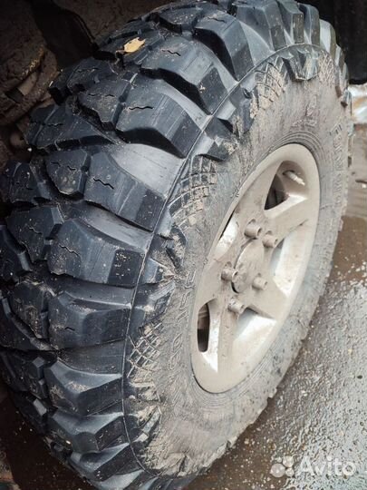 Алтайшина Safari 510 21.5/90 R15