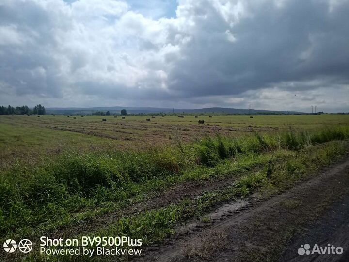 Сено в рулонах с доставкой