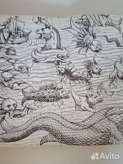 Дары моря. Л. зенкевич