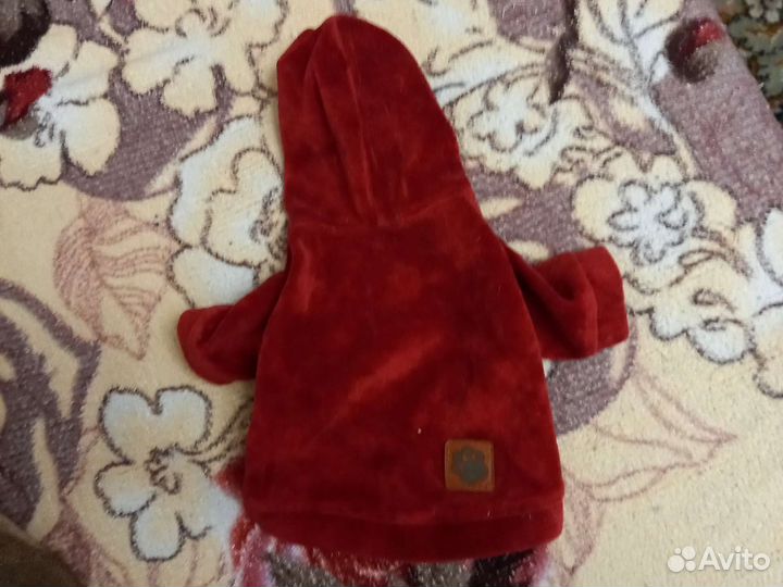 Худи для собак