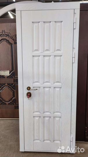 Дверь входная металлическая в дом, квартиру