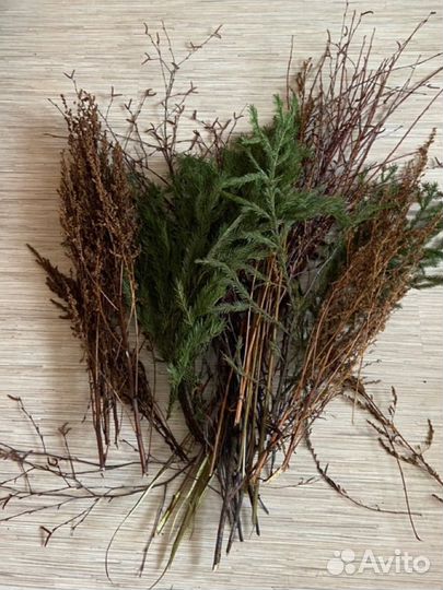 Хобби для животных