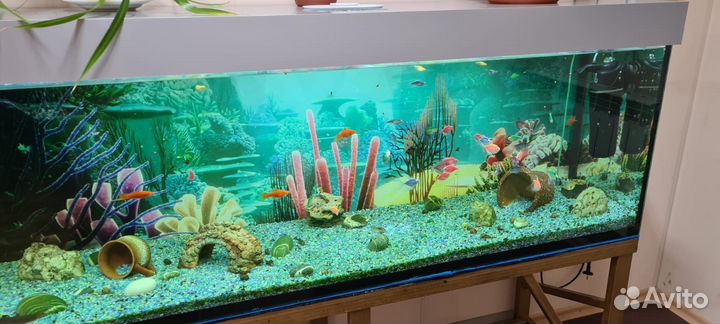 Аквариум с тумбой 450 литров