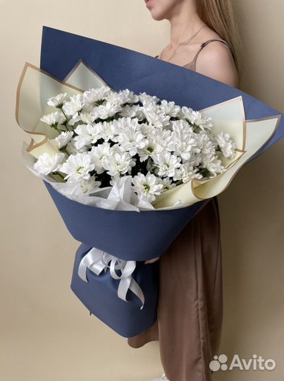 Хризантемы кустовые