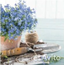 Картины glass art