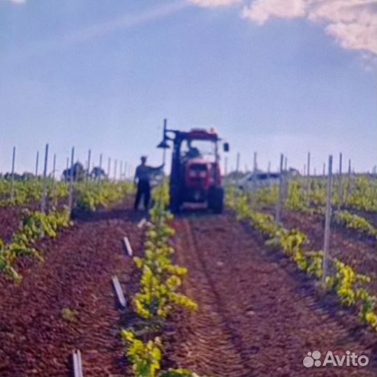 Разнорабочие с еженедельной оплатой и проживанием