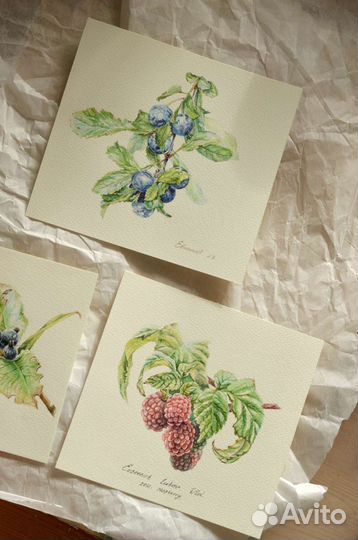 Картина акварель. Автор Евсеенок Любовь