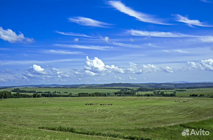 Сельскохозяйственное предприятие 7000 га