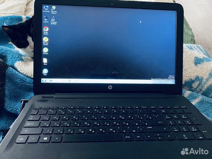 Ноутбук hp