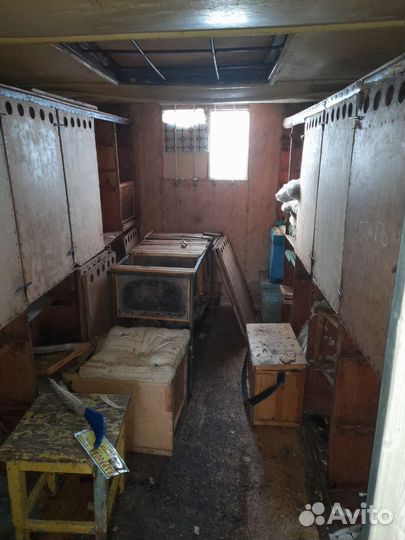 Продается пасека