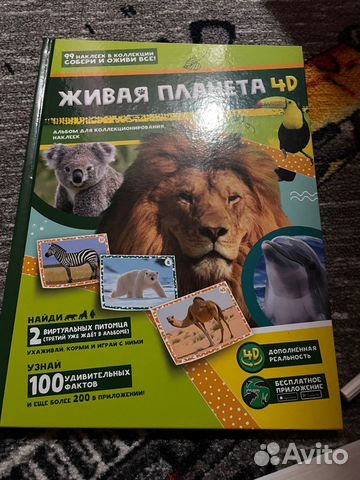 Наклейки из пуда