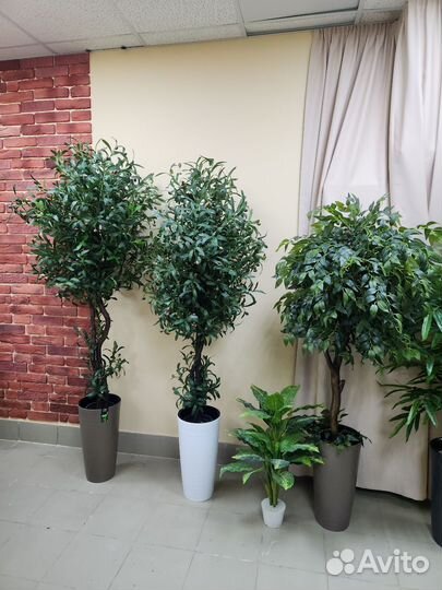 Дерево искусственное Фикус цветок домой центр